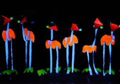 Fotos von unserem Osterferienangebot der OGS an der Schulstra&szlig;e.